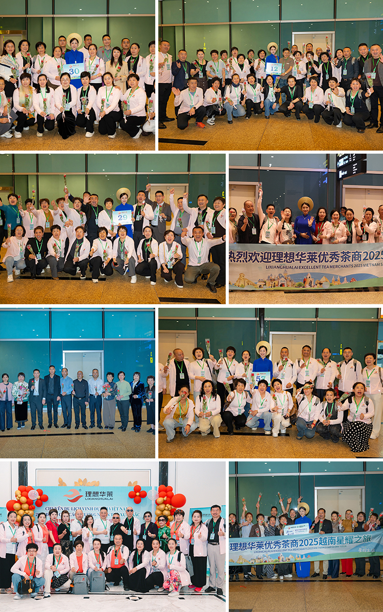茶养人生，悦起新程——理想华莱2025优秀茶商越南星耀之旅圆满收官