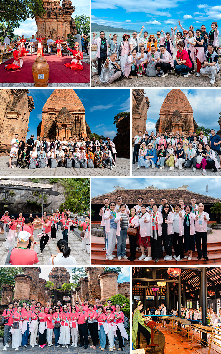 茶养人生，悦起新程——理想华莱2025优秀茶商越南星耀之旅圆满收官