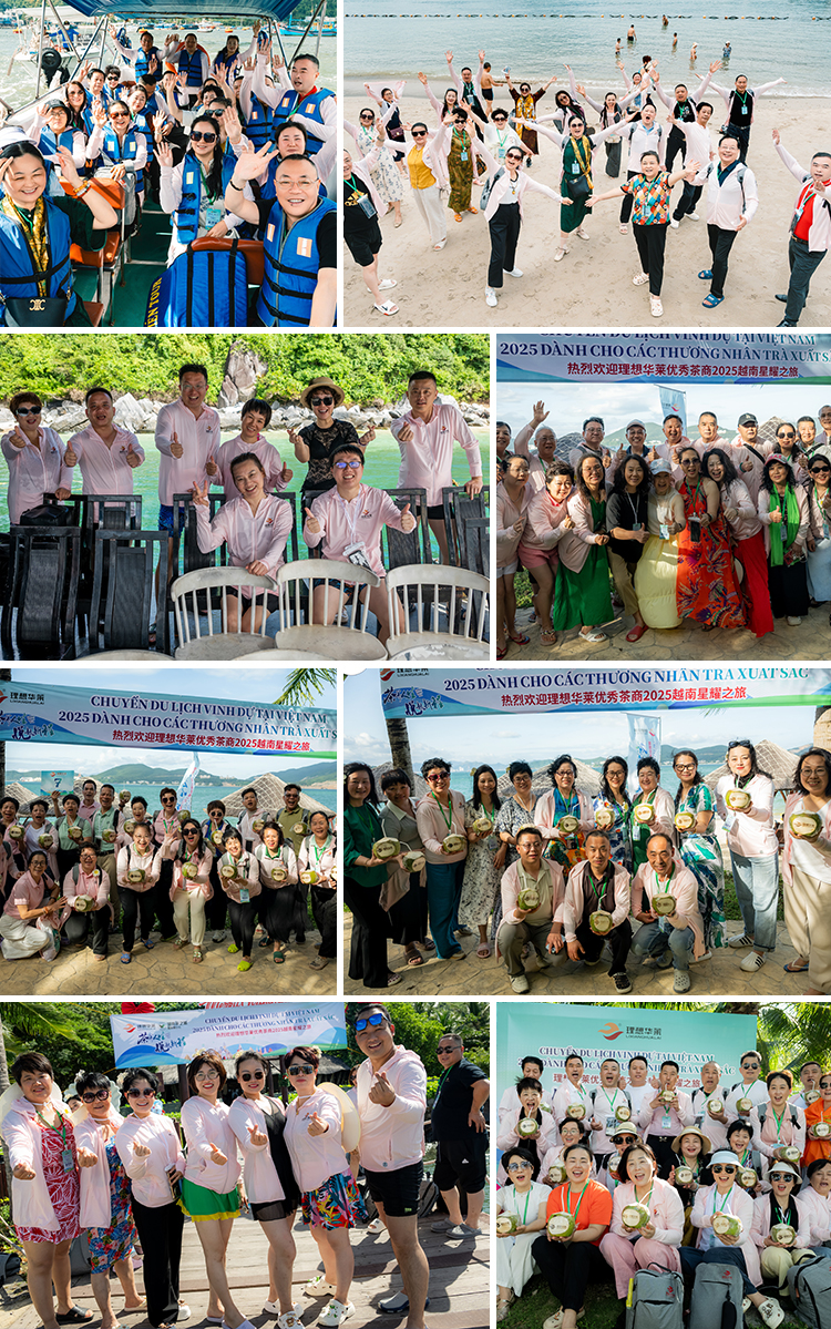 茶养人生，悦起新程——理想华莱2025优秀茶商越南星耀之旅圆满收官
