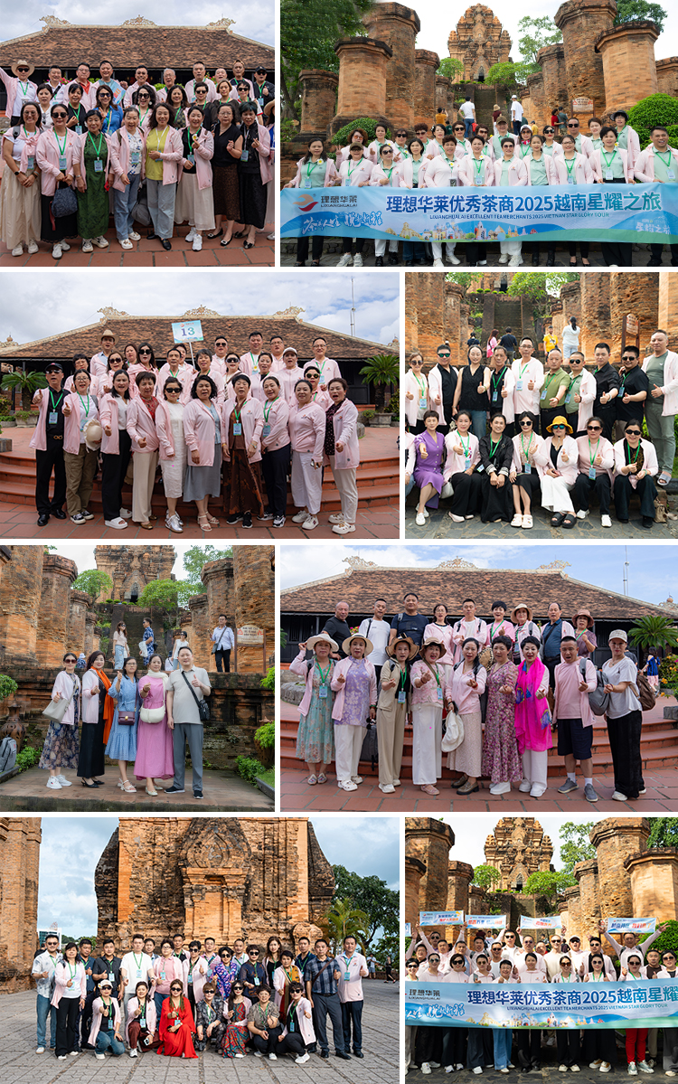 茶养人生，悦起新程——理想华莱2025优秀茶商越南星耀之旅圆满收官