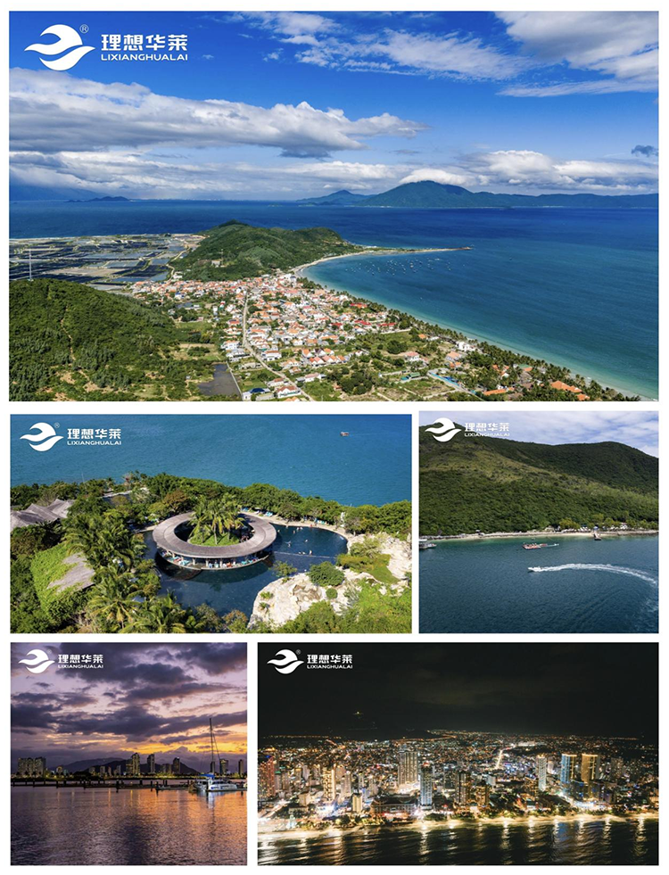 茶养人生，悦起新程——理想华莱2025优秀茶商越南星耀之旅圆满收官