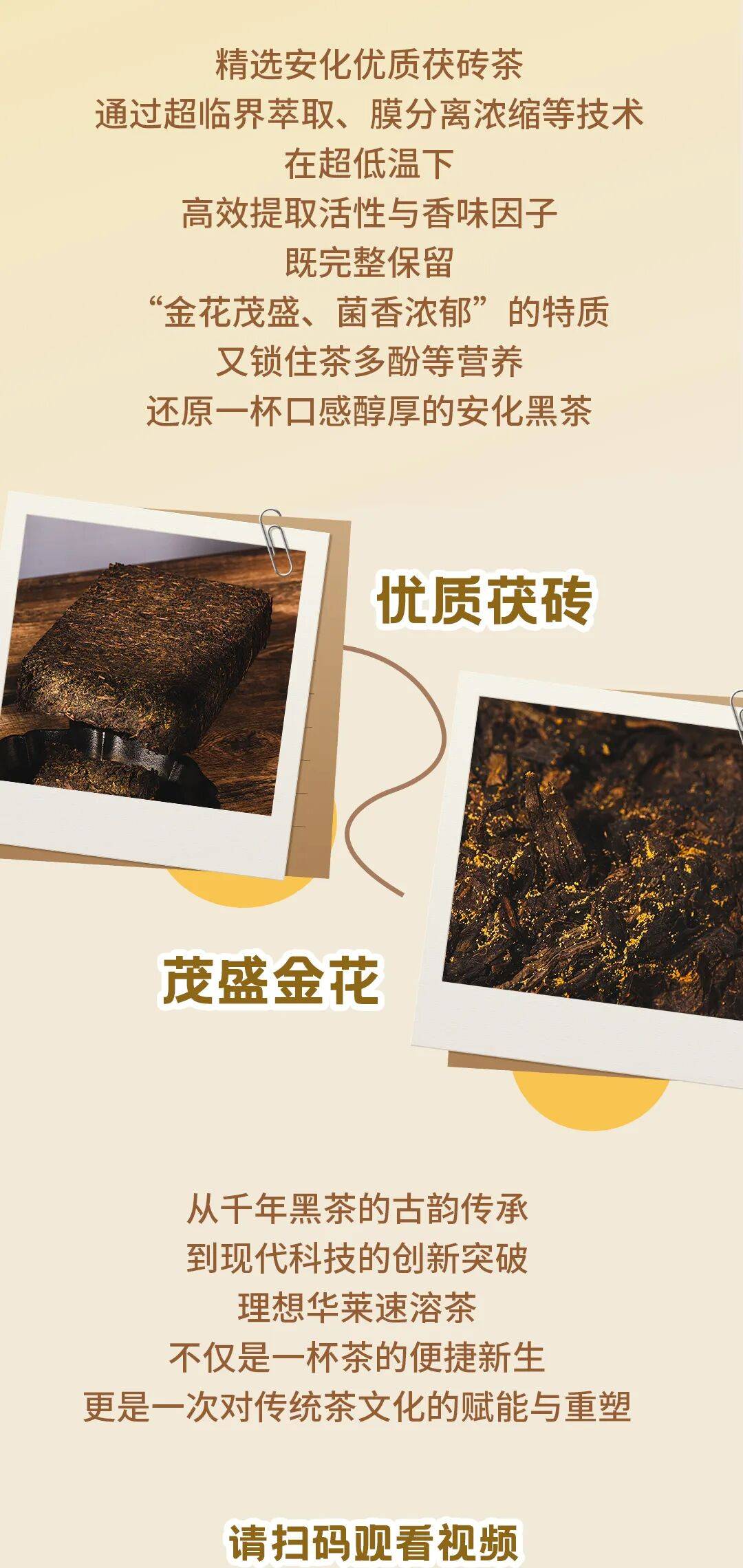 理想华莱速溶茶：科技赋能的黑茶新体验