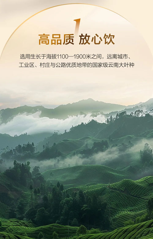 完美普洱茶（熟茶）新品上市 解锁醇厚陈香