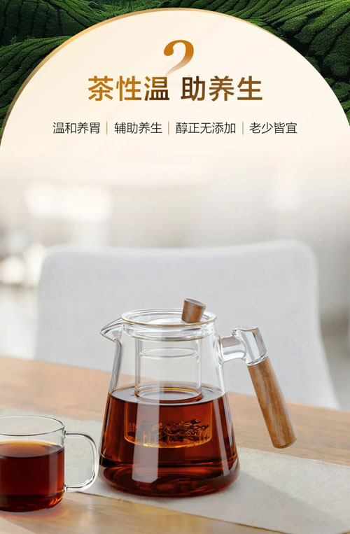 完美普洱茶（熟茶）新品上市 解锁醇厚陈香