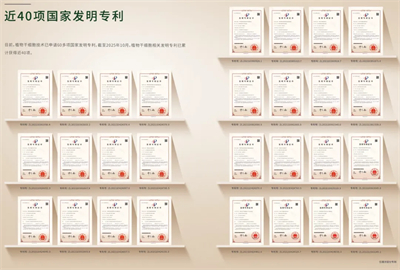 真人实测有效！安然人参组培不定根功效获人体检测认证