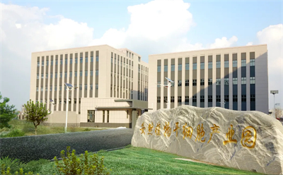 真人实测有效！安然人参组培不定根功效获人体检测认证