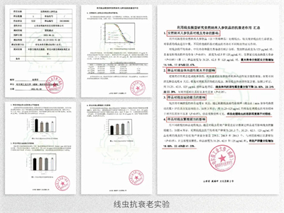 真人实测有效！安然人参组培不定根功效获人体检测认证