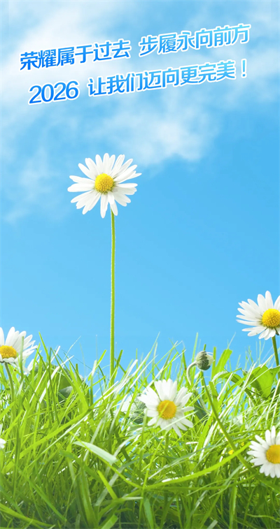 完美2025年度荣誉盘点，实力铸就品牌标杆