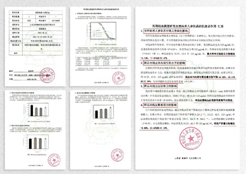 安然黑科技再突破 人参组培不定根显硬核实力