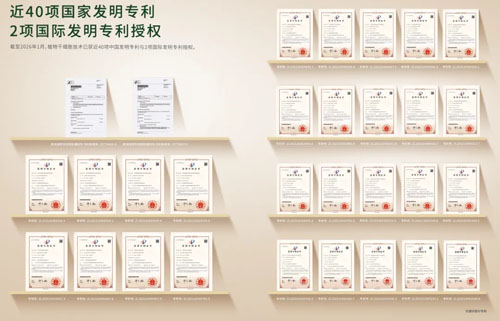 安然黑科技再突破 人参组培不定根显硬核实力