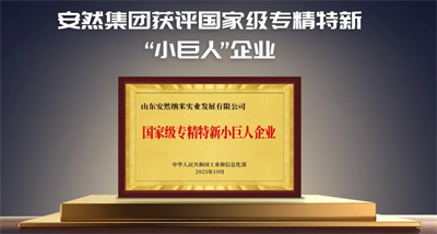 安然集团获评山东省数字经济产业创新中心
