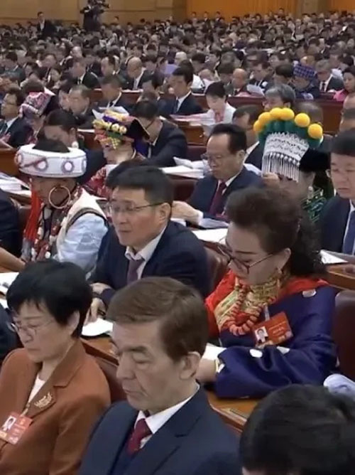 福能源耿福能参会十四届全国人大四次会议