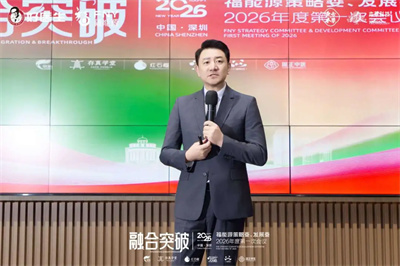 福能源策略委、发展委2026年度第一次会议圆满召开