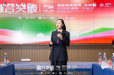 福能源策略委、发展委2026年度第一次会议圆满召开