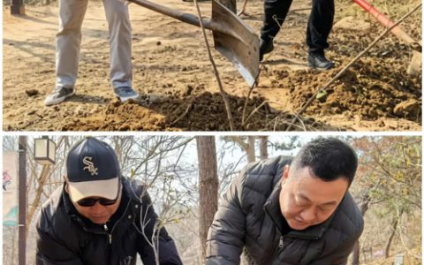 3.12植树节如期而至 长青中国植绿守青山