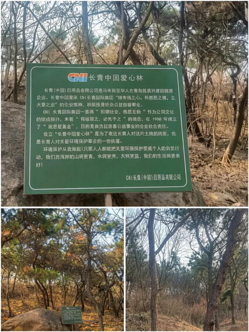 3.12植树节如期而至 长青中国植绿守青山