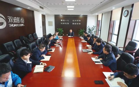 双迪公司 | 以合规筑牢发展基石 以切实举措落实总局要求