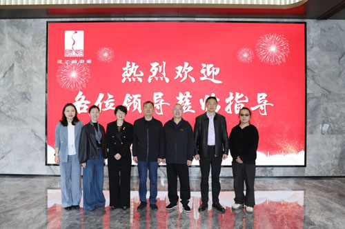 中共长沙市雨花区委常委莅临绿之韵中心调研
