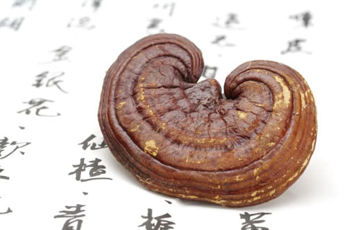 深耕灵芝研究 无限极再获多项权威认可！