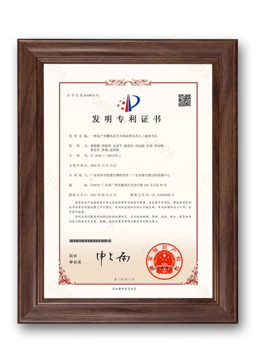 深耕灵芝研究 无限极再获多项权威认可！