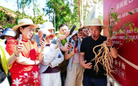 春夏好时节，无限极4个研学基地迎来参观最佳期！
