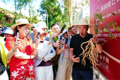 春夏好时节，无限极4个研学基地迎来参观最佳期！