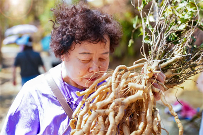 春夏好时节，无限极4个研学基地迎来参观最佳期！