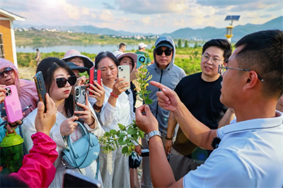 春夏好时节，无限极4个研学基地迎来参观最佳期！