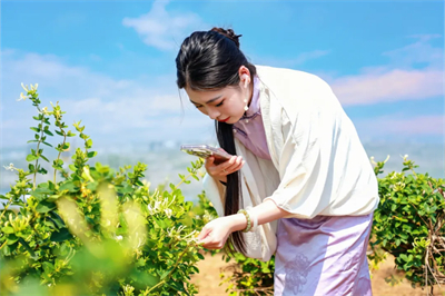春夏好时节，无限极4个研学基地迎来参观最佳期！