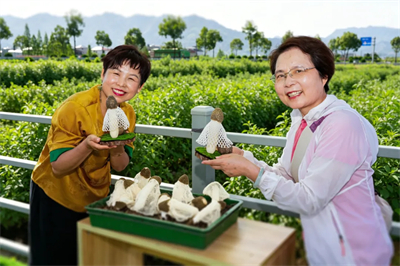 春夏好时节，无限极4个研学基地迎来参观最佳期！