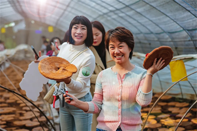 春夏好时节，无限极4个研学基地迎来参观最佳期！