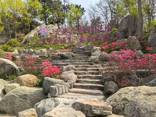 青山同行——长青中国春季踏青赏花活动举行