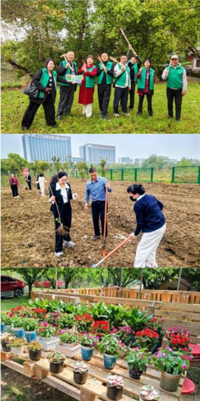 守护家园八载同行 安然已累计植绿超42公顷