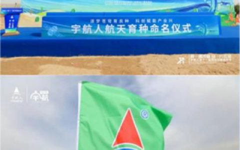 共赴绿色之约 宇航人第十一届沙棘植树节收官