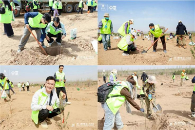 共赴绿色之约 宇航人第十一届沙棘植树节收官