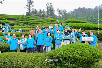 康尔生物汲茶素武夷山溯源之旅圆满收官
