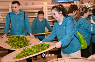康尔生物汲茶素武夷山溯源之旅圆满收官
