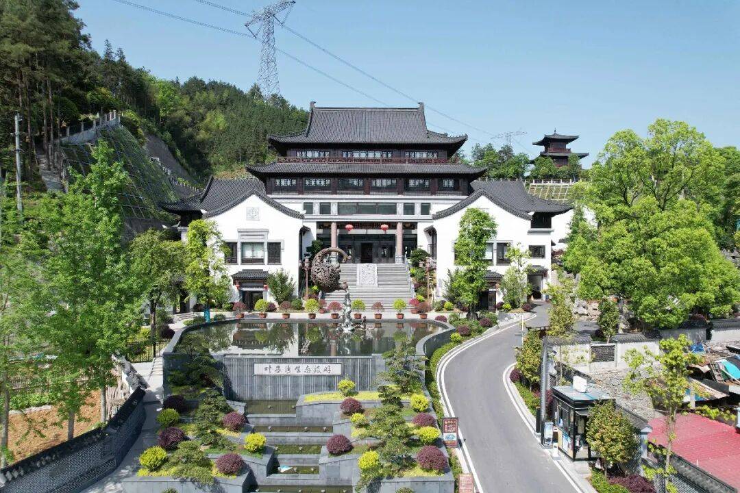 理想华莱：以生态茶园为笔，绘就黑茶产业高质量发展新画卷