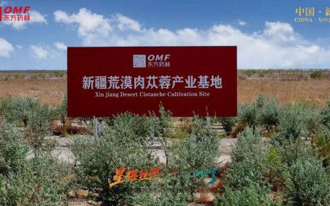 爱心满丝路 情定麦盖提——东方药林启幕守护边疆公益植树工程 绘就边疆公益新蓝图
