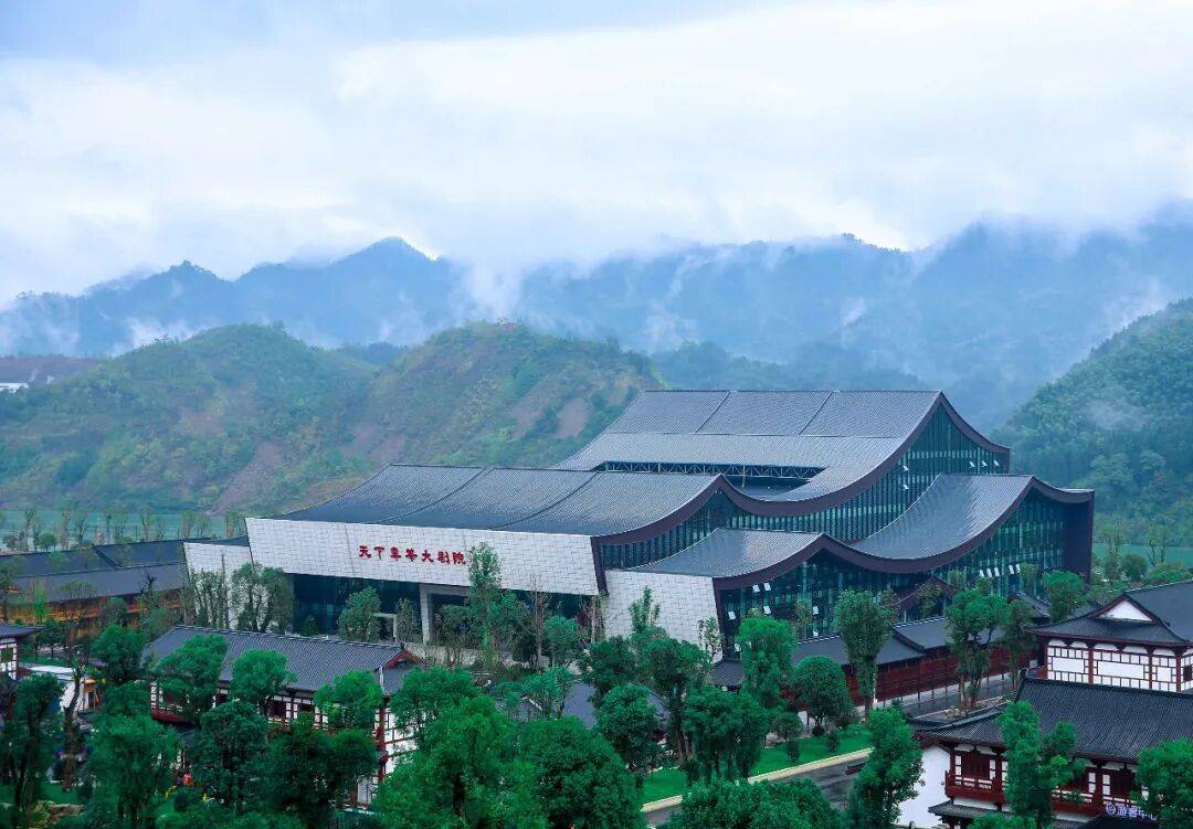 理想华莱：以生态茶园为笔，绘就黑茶产业高质量发展新画卷
