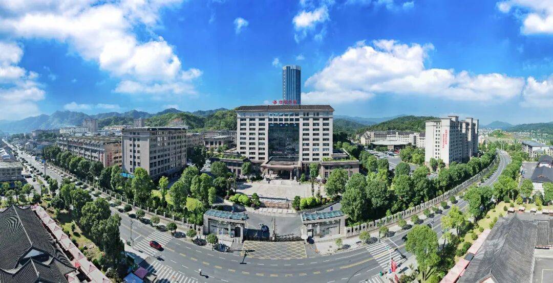 理想华莱：以生态茶园为笔，绘就黑茶产业高质量发展新画卷
