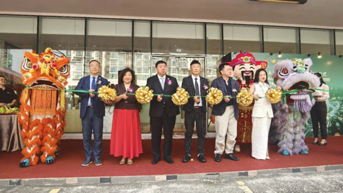 金木马来西亚运营中心正式启动 深耕东南亚