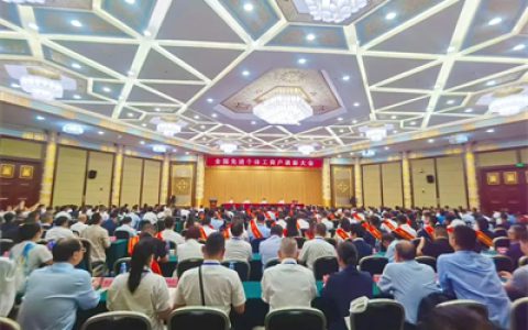 绿之韵胡国安当选中国个体劳动者协会常务理事