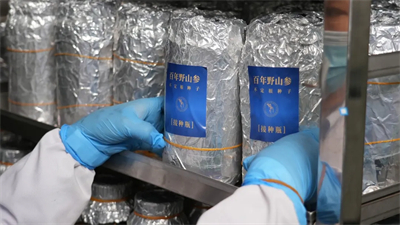 安然人参组培溯源项目获上海公证处权威认证