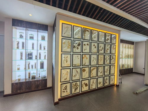 清晨生物与辽宁省药品检验院达成战略合作