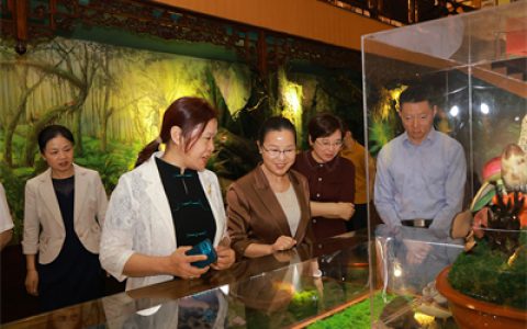 全国妇联妇女发展部副部长奉朝晖在安惠调研