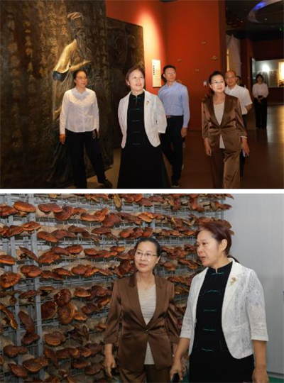 全国妇联妇女发展部副部长奉朝晖在安惠调研