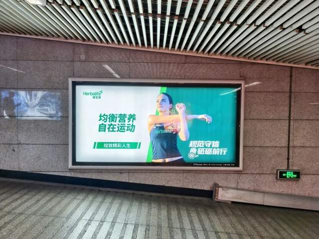 文章配图-2