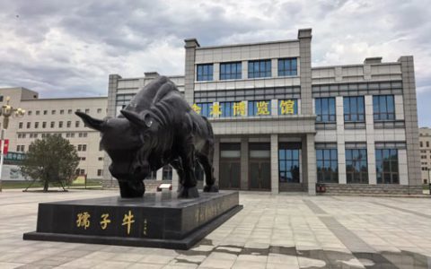 尼泊尔政商代表团莅临金木集团考察交流