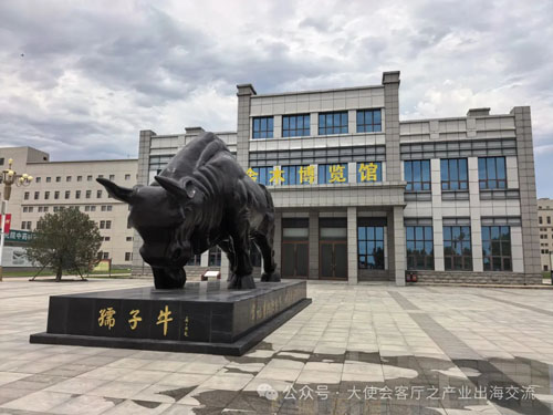 尼泊尔政商代表团莅临金木集团考察交流